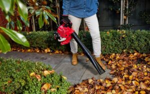 Blower Range -